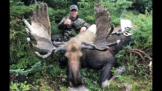 Archery Record Newfoundland moose hunt [upl. by Atiuqiram]