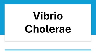 Vibrio Cholerae [upl. by Reede]