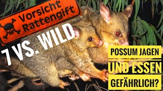 Rattengift Tierische Notnahrung Possum in Neuseeland essbar 7vswildstaffel4 [upl. by Aramak]