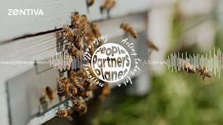 S1E11  Zentiva Sustainability Podcast About Bees and AI [upl. by Ahtar]