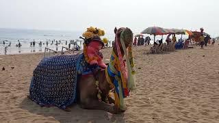 odisha puri ka sea beach travel [upl. by Firmin487]