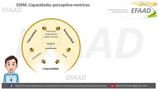 Enfoque Dinámico e Integrado de la Motricidad Educación Física [upl. by Clemmy246]