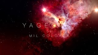 Yagecito De Mil Colores  Fherley Majin  Musica de Medicina Ayahuasca [upl. by Nnylyma423]