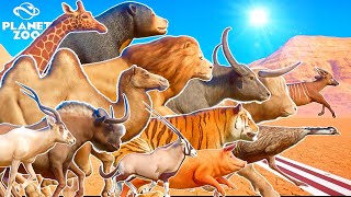 100 Animals Mega Running Race in Desert Canyon Who will be the Fastest to win the race [upl. by Laved]