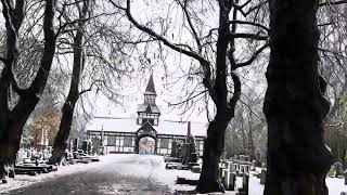 Winter walk Dresden ❄️ walkwithme cemetery winter snow mychannel frostyfest shorts history [upl. by Nyladam]