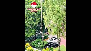 Foodpanda rider vs condo security guard fighting at Bukit Timah condo in Singapore [upl. by Oicam]