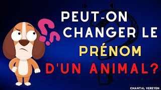 Peuton changer le prénom dun animal [upl. by Aroz780]