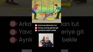 Arka Bacak Yöntemi köpekler köpekadam çağrıaracı köpek youtubecreatorcommunity [upl. by Lynn]