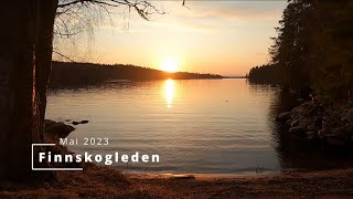 Finnskogleden Mitanderfors  Elgklinten mai 2023 [upl. by Galliett257]