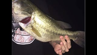 Night Fishing 35Ib Largemouth Bass  North Cove Park Pond New Jersey [upl. by Abrahams]