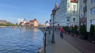 Fishermen’s Village Kant Island and Königsberg Cathedral Kaliningrad Russia Live [upl. by Onyx969]