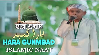 হারা গুম্বাদ জো দেখোগে  Hara Gumbad Jo Dekhoge  Islamic Urdu Naat  2025 [upl. by Adihsar679]