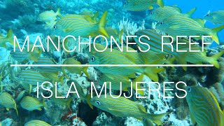 Manchones Reef  Isla Mujeres 4K [upl. by Villiers388]