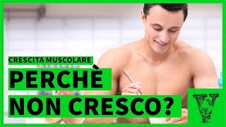 Perchè non cresco Come sensibilizzare le cellule muscolari [upl. by Valry299]