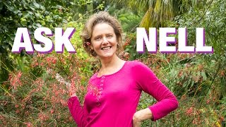 Ask Nell Soil amp Soil Prep For Succulents [upl. by Latnahs223]