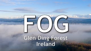 Fog Above Glen Ding Forest  4K [upl. by Joela]