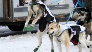 2010 Iditarod Start  The last great race on earth [upl. by Ultan]