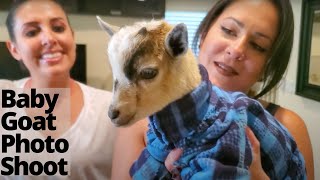 Baby Goat Pajama Photo Shoot Gone Wrong [upl. by Anihta]