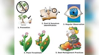 Improvement in food resourcesclass IX Biology [upl. by Aynotel550]