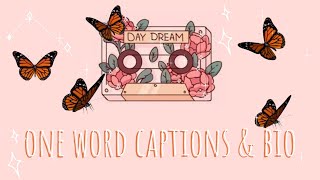 Aesthetic ONE WORD captions amp bios for Instagram 🌻 Meaningful Instagram Captions [upl. by Eltsyek]