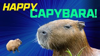 Happy Capybara Song [upl. by Jammie]