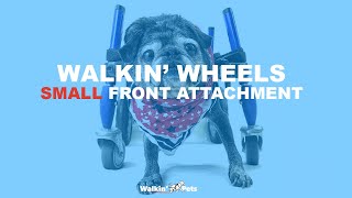 Walkin Wheels Wheelchair for Pets  SMALL Front Attachment [upl. by Acisseg]