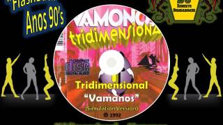 Tridimensional  Vamonos Simulation Version CD P 1992 [upl. by Hebel]