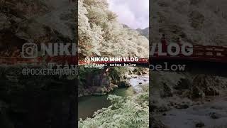 Tokyo day trip mini vlog Nikko Japan travel japaneselanguage [upl. by Aneetsirhc]