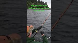 JIGGED Up Chinook from Puget Sound  FISH On [upl. by Hewes]