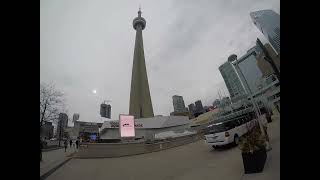 CN Tower  Skyline Landmark Iconic [upl. by Naujat586]