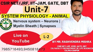 Neuron  Myelin sheath  Synapses  Nervous System  SYSTEM PHYSIOLOGY  ANIMAL Unit7 [upl. by Schwing]