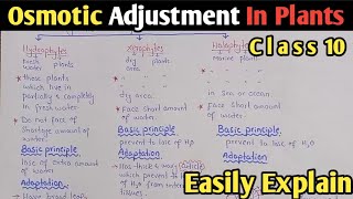 Osmotic Adjustment In Plants  Hydrophytes  Xerophytes  Halophytes  UrduHindi [upl. by Eirrak]