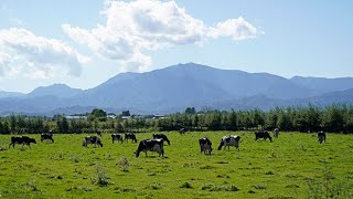 Countryside Stay Japan［ObihiroHokkaido］ [upl. by Aible]