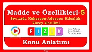 Madde ve Özellikleri5 KohezyonAdezyonKılcallıkYüzey Gerilimi  PDF [upl. by Tim]