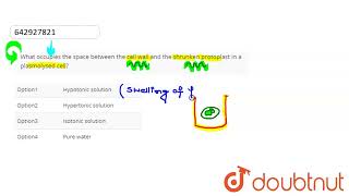 What occupies the space between the cell wall and the shrunken protoplast in a plasmolysed cell [upl. by Hpesoy830]