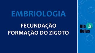 Fecundação Formação do Zigoto Embriologia Humana  Bio Aulas [upl. by Sirois]