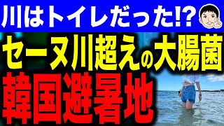 【菌菌キラキラ🌟綺麗だな🤣】韓国避暑地で大腸菌発生！？パリのセーヌ川を超える汚染に戦慄！ [upl. by Wycoff918]