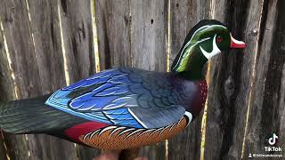 Hand carved oil painted Dr Wood Duck Decoy by Jode Hillman [upl. by Annaitat125]