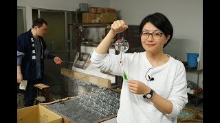 Edo Furin wind bell making workshop English [upl. by Nosrettap645]