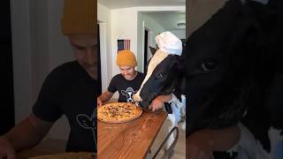 Doesnt let me eat anything 😱 shortsfeed viralshort viralvideo [upl. by Ocsecnarf]