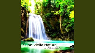 Musica rilassante con i suoni della natura Onde del mare [upl. by Sidran]