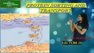 Endoplasmic Reticulum Lecture23 Cell Biology Protein sorting [upl. by Esinnej]