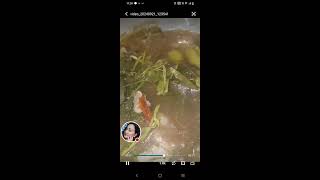 My Bhing is live Yummy Sinigang sinigangnababoy [upl. by Caruso]