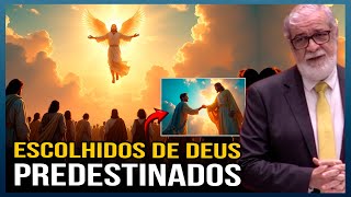 A PREDESTINAÇÃO É BÍBLICA E MUITOS CRISTÃO SE ENGANAM E NÃO ENTEDEM PASTOR AUGUSTUS NICODEMUS [upl. by Abercromby]