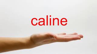 How to Pronounce caline  American English [upl. by Antebi]