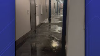 Residents say apartment management is forcing them out after massive water leak [upl. by Caesar]