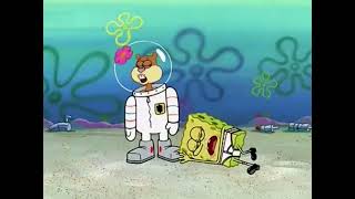 SpongeBob Season 2 Episode 13 PreHibernation Week Part 12 spongebob nickelodeon [upl. by Jacoba]