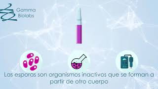 ¿Cómo funcionan los INDICADORES BIOLOGICOS para AUTOCLAVE 🧪  Gamma Biolabs [upl. by Ruelle]