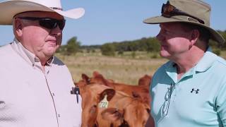 Adaptive Grazing 101 A Conversation with Burke Teichert Grazing Consultant [upl. by Elwee]