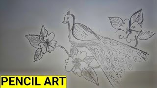 Learn How to draw Peacock With Pencil  YouArt Studio [upl. by Aicylla441]